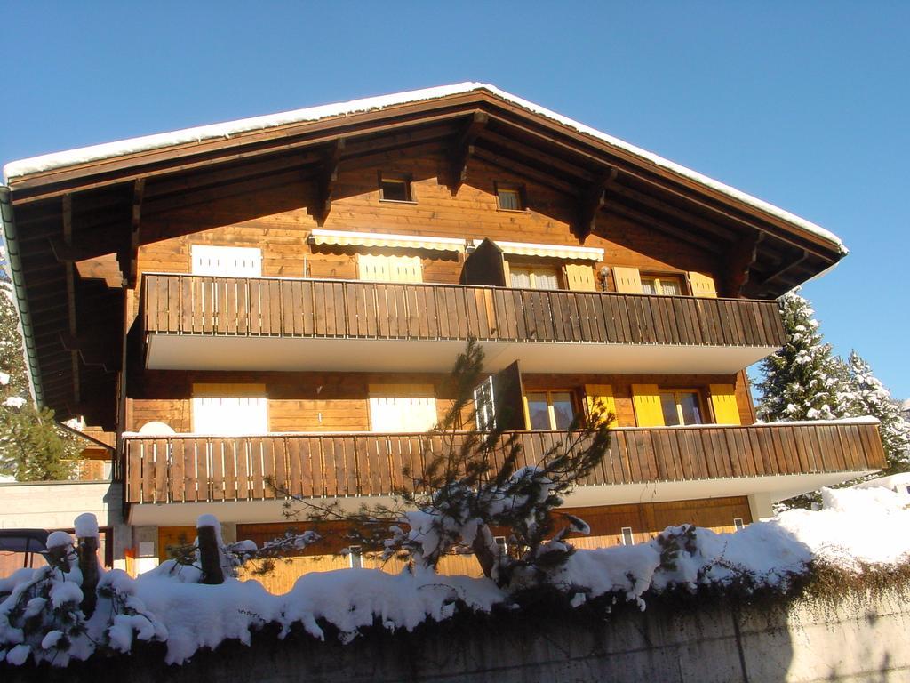 Chrinnengletscher Grindelwald Buitenkant foto
