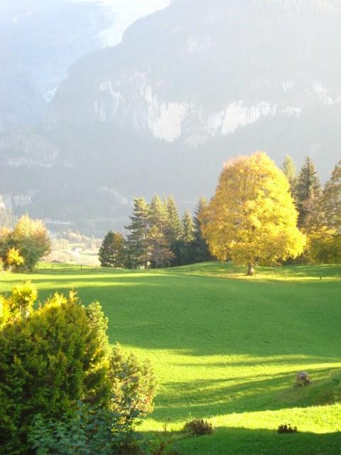Chrinnengletscher Grindelwald Buitenkant foto